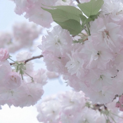 柳北FurryQQ群介绍